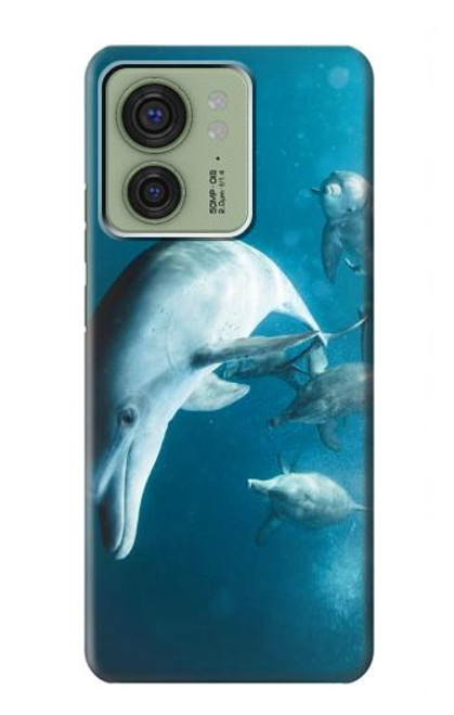 S3878 Dolphin Case For Motorola Edge (2023), Edge 40