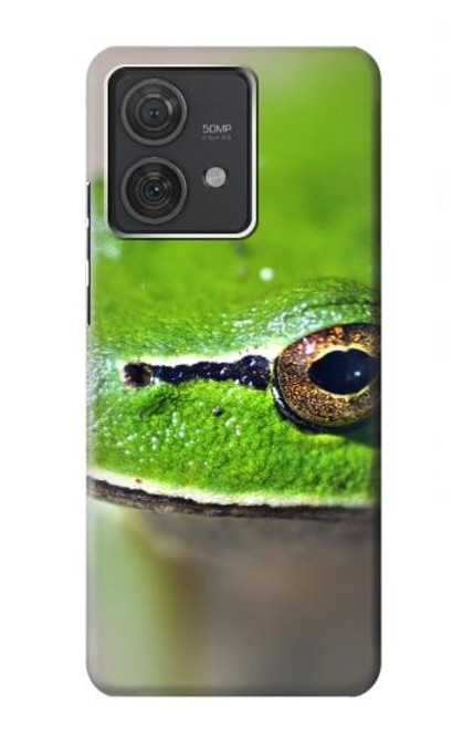 S3845 Green frog Case For Motorola Edge 40 Neo