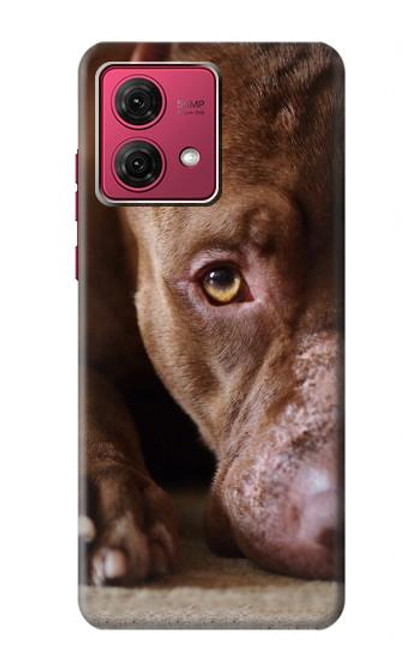 S0519 PitBull Face Case For Motorola Moto G84