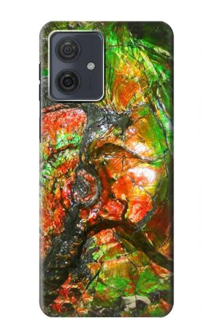 S2694 Ammonite Fossil Case For Motorola Moto G54