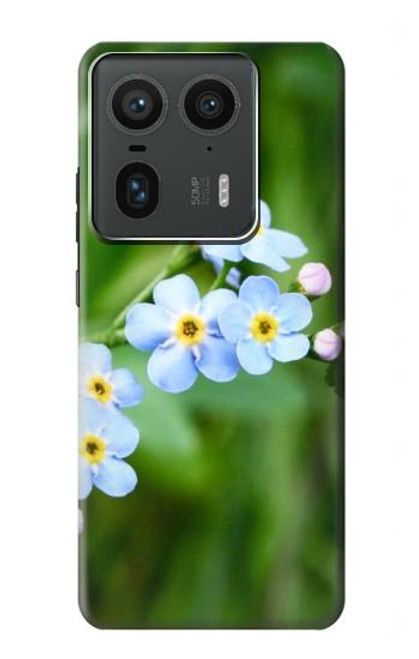 S1818 Forget Me Not Case For Motorola Edge 50 Ultra