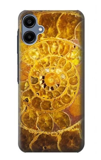 S1789 Ammonite Fossils Case For Samsung Galaxy A06
