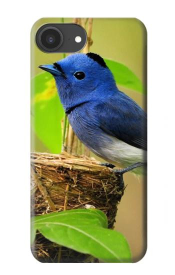 S3839 Bluebird of Happiness Blue Bird Case For iPhone 16e, 17e