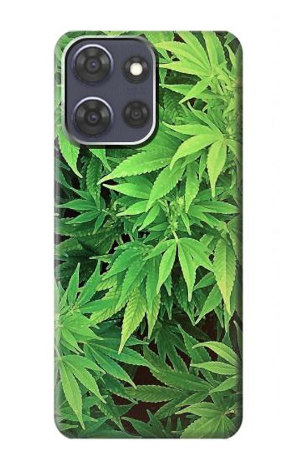 S1656 Marijuana Plant Case For Motorola Moto G Power (2025)