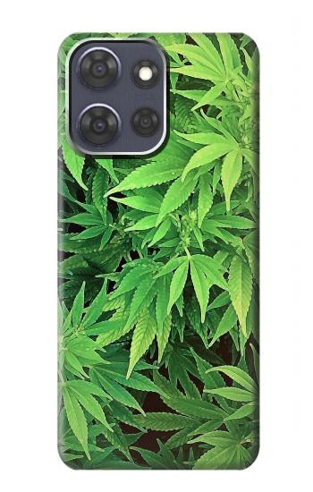 S1656 Marijuana Plant Case For Motorola Moto G Power (2025,2026)