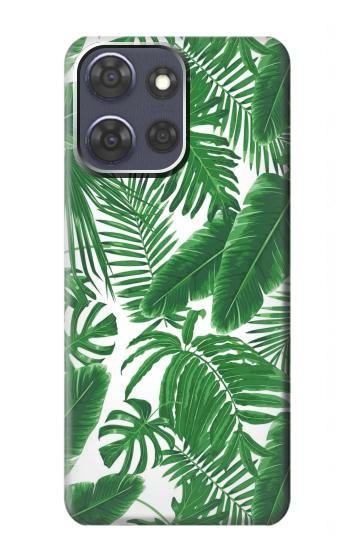 S3457 Paper Palm Monstera Case For Motorola Moto G Power (2025,2026)
