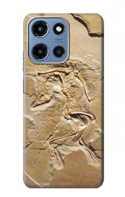 S0380 Dinosaur Fossil Case For Motorola Moto G 5G (2025)