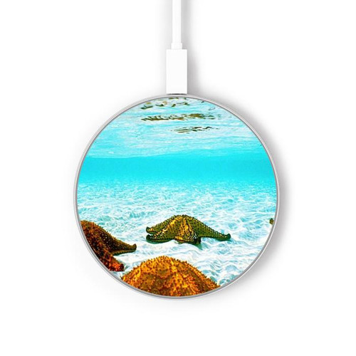 S1679 Starfish Sea Beach Wireless Charger Pad 15W Type-C iPhone Android LED Light Charging Station