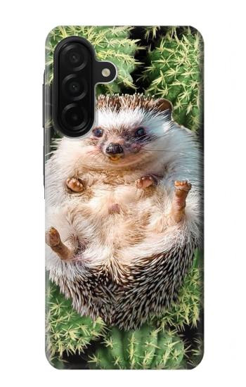 S3863 Pygmy Hedgehog Dwarf Hedgehog Paint Case For Samsung Galaxy A26