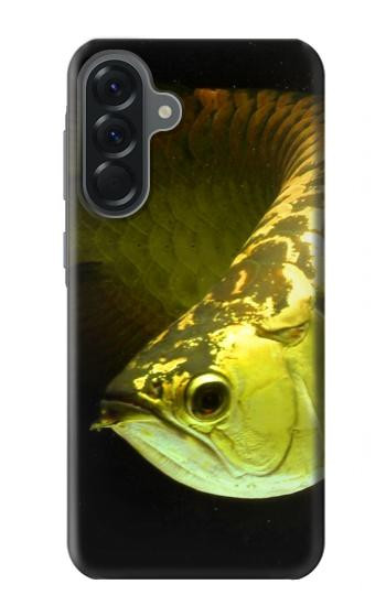 S1021 Gold Arowana Fish Case For Samsung Galaxy A56