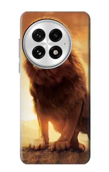 S1957 Lion Aslan Case For OnePlus 13