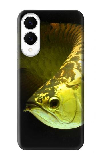 S1021 Gold Arowana Fish Case For Samsung Galaxy S25 Edge
