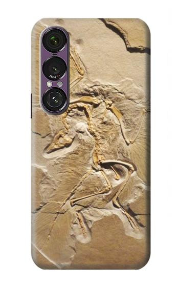S0380 Dinosaur Fossil Case For Sony Xperia 1 VII