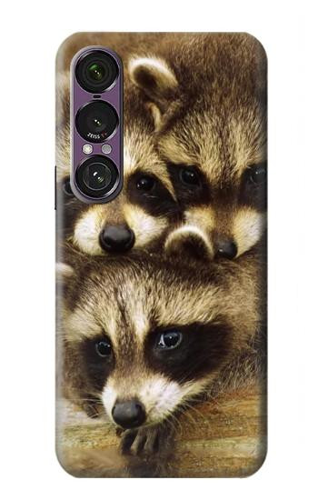 S0977 Baby Raccoons Case For Sony Xperia 1 VII