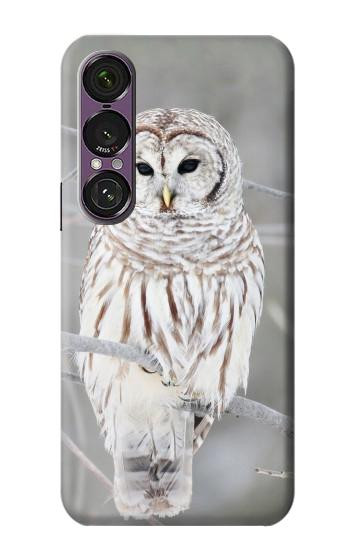 S1566 Snowy Owl White Owl Case For Sony Xperia 1 VII