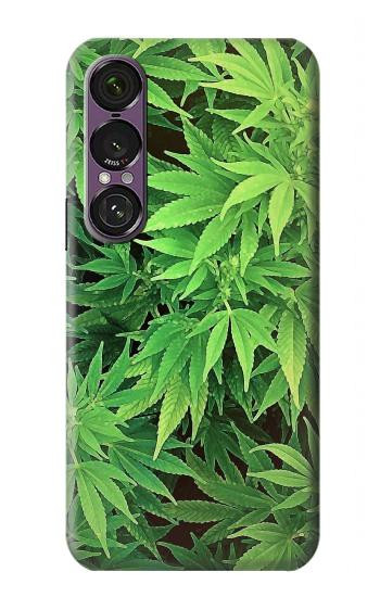 S1656 Marijuana Plant Case For Sony Xperia 1 VII