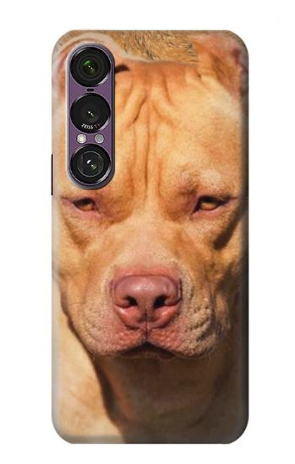 S2903 American Pitbull Dog Case For Sony Xperia 1 VII