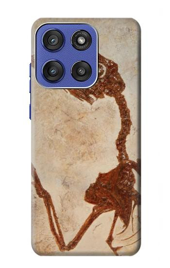 S0379 Dinosaur Fossil Case For Motorola Moto G Stylus 5G (2025,2026), Edge 60 Stylus