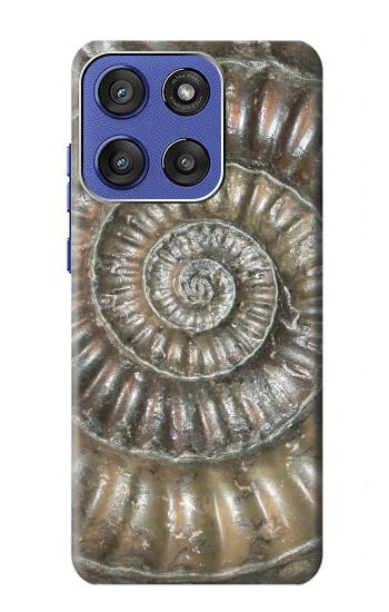 S1788 Ammonite Fossil Case For Motorola Moto G Stylus 5G (2025,2026), Edge 60 Stylus