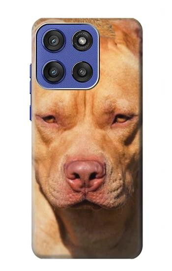 S2903 American Pitbull Dog Case For Motorola Moto G Stylus 5G (2025,2026), Edge 60 Stylus