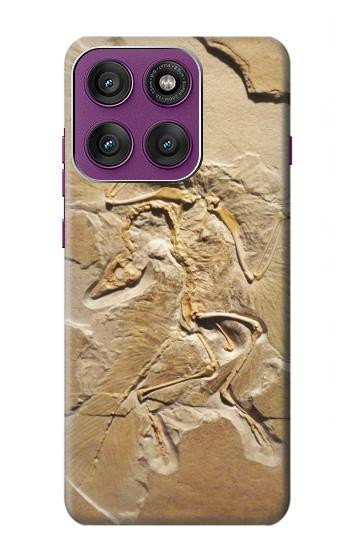 S0380 Dinosaur Fossil Case For Motorola Edge 60 Pro