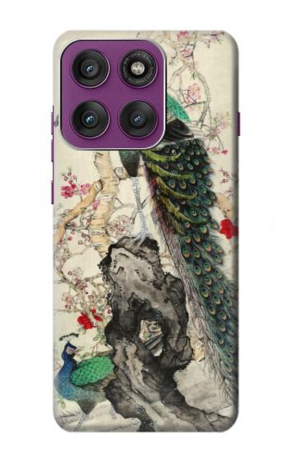S2086 Peacock Painting Case For Motorola Edge 60 Pro