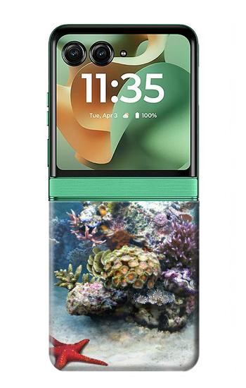S0227 Aquarium Case For Motorola Razr 70+,60+, Razr+ (2026, 2025, 2024)