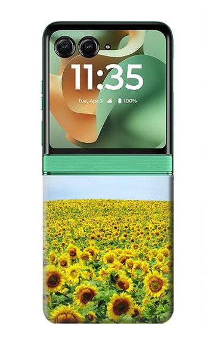 S0232 Sunflower Case For Motorola Razr 60, Razr 2025