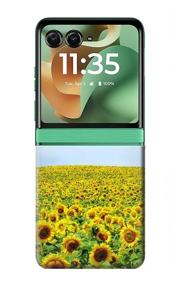 S0232 Sunflower Case For Motorola Razr 70+,60+, Razr+ (2026, 2025, 2024)