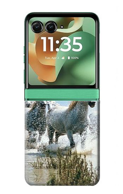 S0250 White Horse Case For Motorola Razr 60, Razr 2025