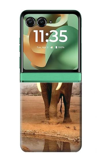 S0310 African Elephant Case For Motorola Razr 70+,60+, Razr+ (2026, 2025, 2024)