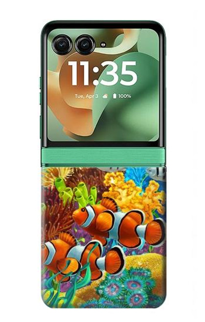 S2568 Sea Seabed Fish Corals Underwater Ocean Case For Motorola Razr 60, Razr 2025