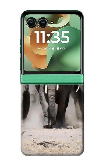 S3142 African Elephant Case For Motorola Razr 70+,60+, Razr+ (2026, 2025, 2024)