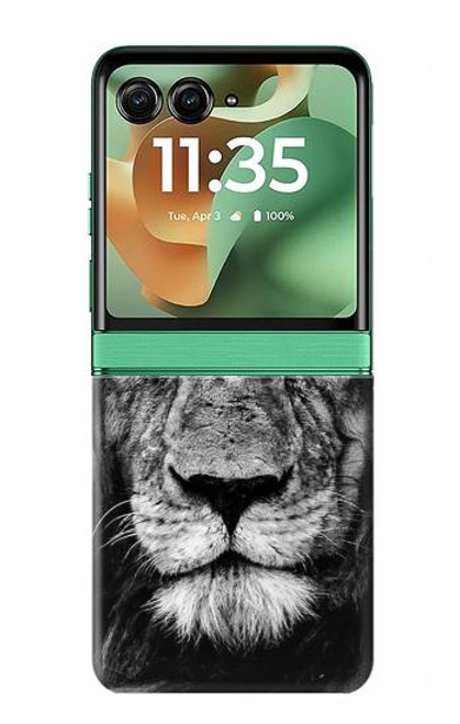 S3372 Lion Face Case For Motorola Razr 60, Razr 2025