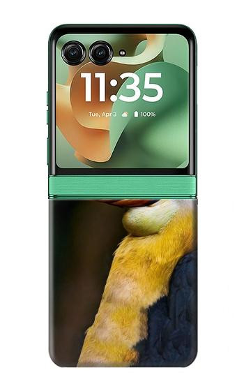 S3876 Colorful Hornbill Case For Motorola Razr 70+,60+, Razr+ (2026, 2025, 2024)