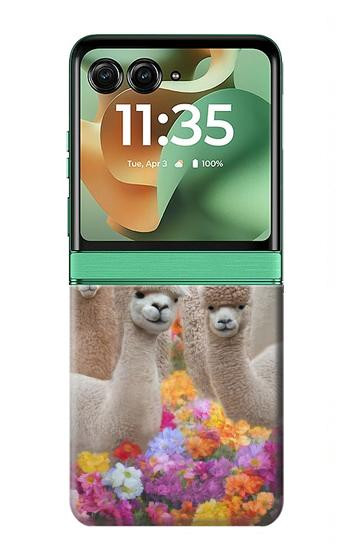 S3916 Alpaca Family Baby Alpaca Case For Motorola Razr 70+,60+, Razr+ (2026, 2025, 2024)