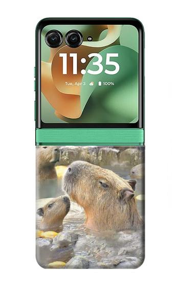 S4030 Capybara Hot Spring Case For Motorola Razr 70+,60+, Razr+ (2026, 2025, 2024)