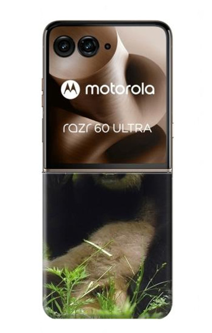 S1073 Panda Enjoy Eating Case For Motorola Razr 60 Ultra, Razr Ultra 2025