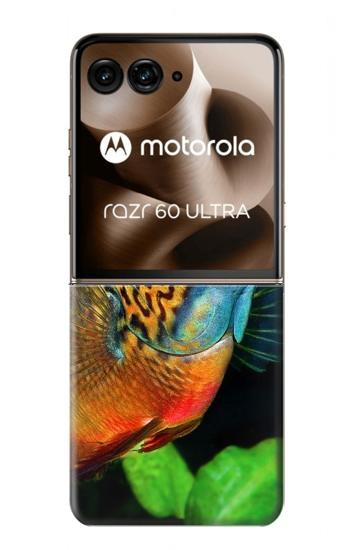 S1812 Cichlid Fish Case For Motorola Razr 70 Ultra, 60 Ultra, 50 Ultra, Ultra 2026, Ultra 2025