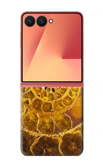 S1789 Ammonite Fossils Case For Samsung Galaxy Z Flip 7
