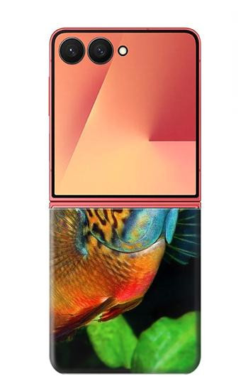 S1812 Cichlid Fish Case For Samsung Galaxy Z Flip 7