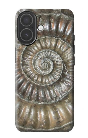 S1788 Ammonite Fossil Case For iPhone 17