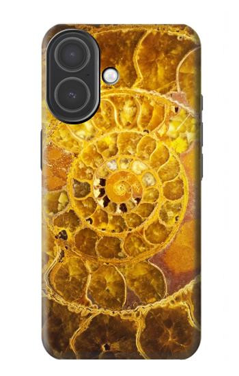 S1789 Ammonite Fossils Case For iPhone 17