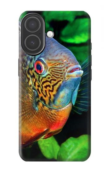 S1812 Cichlid Fish Case For iPhone 17