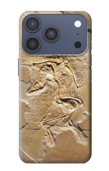 S0380 Dinosaur Fossil Case For iPhone 17 Pro, 18 Pro