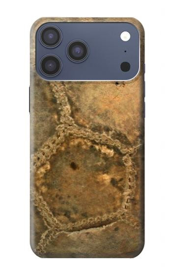 S2531 Old Soccer Ball Case For iPhone 17 Pro Max, 18 Pro Max