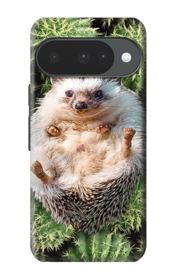S3863 Pygmy Hedgehog Dwarf Hedgehog Paint Case For Google Pixel 10, 10 Pro