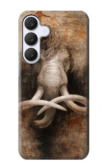 S3427 Mammoth Ancient Cave Art Case For Samsung Galaxy S25 FE, S26 FE