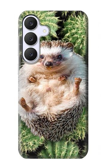 S3863 Pygmy Hedgehog Dwarf Hedgehog Paint Case For Samsung Galaxy S25 FE, S26 FE