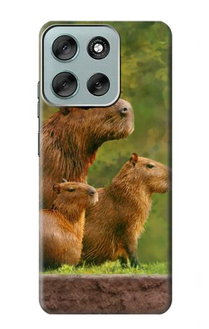 S3917 Capybara Family Giant Guinea Pig Case For Motorola Moto G56
